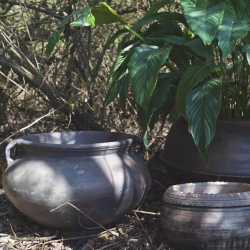 Benedict lerkrukke - Large