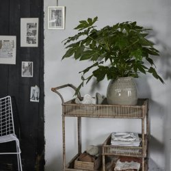 Sheline muslingeskl 25x21,5 - Sand